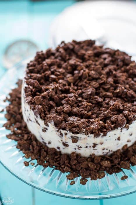 Easy Chocolate Mocha Crunch Ice Cream Cake comes together easily with only 3 ingredients