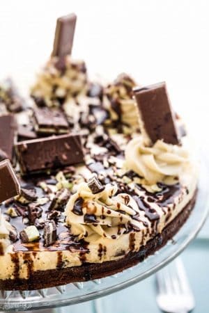 Mint Andes Chocolate Brownie Cheesecake - rich, decadent and just perfect for serving at any special holiday such as St. Patrick's Day or Christmas. Best of all, the chewy, fudgy brownie crust is the perfect compliment to the cool and creamy mint cheesecake filling.